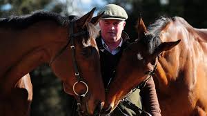 In 2010 tizzard trained cue card to victory in the cheltenham festival champion bumper.in 2014 tizzard trained cue card to victory in the ryanair chase at the cheltenham festival. Colin Tizzard Keeping Faith In Cue Card And Thistlecrack
