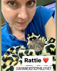 Susan J Tyson, VMD, MS (@exoticdoctyson) • fotos e vídeos do Instagram