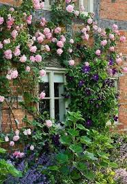 Pin Von Carol Shepko Auf Home S W E E T Home Garten Kletterrose Cottage Garten