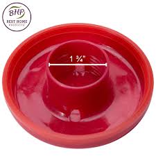 Hummingbird feeders are the best way to get up close and personal with the gorgeous flying jewels of the bird world. Hummingbird Feeder Red Replacement Tray Best Home Products