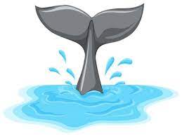 Whale Tail Png Clipart The Best Png Clipart Whale Tail Whale Dolphin Clipart