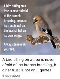 There's another reason why birds can sit on a wire without getting shocked. A Bird Sitting On A Tree Is Never Afraid Of The Branch Breaking Because Its Trust Is Not On The Branch But On Its Own Wings Always Believe In Yourself A Bird