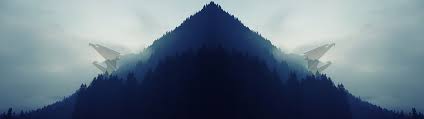 Looking for the best dual monitor wallpapers? Hd Wallpaper Aorus Dual Monitors Eagle Forest Landscape Simple Wallpaper Flare