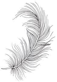 Feather Transparent Png Images Cliparts About 1200 Png Images Matching Feather Feather Drawing Folk Embroidery Feather Art
