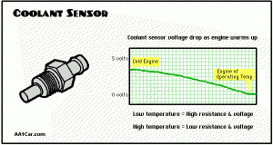 The Engine Coolant Temperature Sensors