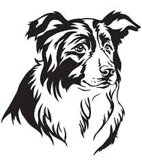 Black And White Collie Dog Clipart Decorative Portrait Of Dog Border Collie Vector Isolated Illustration Border Collie Art Dog Silhouette Animal Stencil