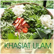 Ibu dalam pantang pun bagus makan ulam raja ni. Makan Ulam Baik Untuk Cara Mudah Bina Badan Sihat Facebook