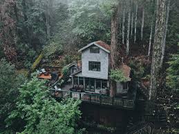 Flathead lake cabin rentals overlooking beautiful flathead lake in lakeside, montana, you'll fall in love with our new cabins with views of flathead lake and the mission and swan mountains. Island Cabin On Flathead Lake Near Somers Montana The Best Designs And Art From The Internet