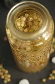 Weisser Johannisbeer Likor Hubsche Kleine Beerchen Glasgefluester De Rezept Johannisbeer Likor Lebensmittel Essen Weisse Johannisbeeren