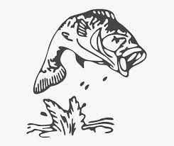 Make the a line twice as long as the b line. Clip Art Largemouth Bass Drawing Image Fish Jumping Out Of Water Silhouette Hd Png Download Kindpng