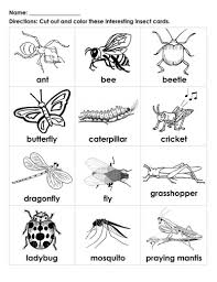 Free Handouts Animals Insects Preschool Insects For Kids Bugs Preschool