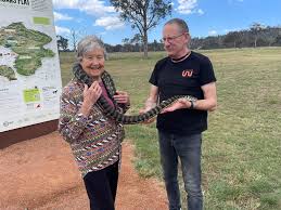 We loved having these...