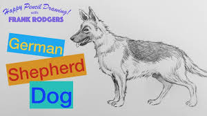 How To Draw A Pencil Sketch Of A German Shepherd Dog Happy Drawing With Frank Rodgers Youtube 5 out of 5 stars (279) 279 reviews how to draw a pencil sketch of a german shepherd dog happy drawing with frank rodgers