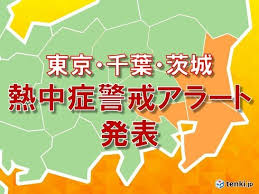 0 熱中症予防のための新たな情報発信「熱中症警戒アラート」について 環境省・気象庁 環境省 × 気象庁 熱中症警戒アラート 令和3年4月28日より全国で本格実施 熱中症による死亡者数・救急搬送人 員数は増加傾向にあり、気候変動等 æ±äº¬éƒ½ãªã© åˆã® ç†±ä¸­ç—‡è­¦æˆ'ã‚¢ãƒ©ãƒ¼ãƒˆ ç™ºè¡¨ ã­ã¨ã‚‰ã¼