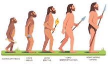 Evolução: o que é, resumo, teorias, evidências - Brasil Escola