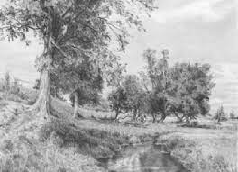 This simple video demonstrates repetitive techniques for drawing landscapes using graphite powder. Diane Wright The Queen Of Landscape Pencil Art Pencils Com