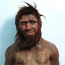 There was another, now long extinct, subspecies of homo sapiens, known as homo sapiens idaltu which lived in africa 160,000 years ago. Homo Sapien Whatyearisit9 Twitter