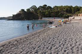 Plage Surveillee A Port Vendres Dans L Anse De Paulilles Plage Naturiste Argeles Sur Mer Plage