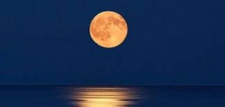 Image result for kartik purnima