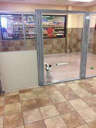 Fetch wisconsin rescue is dedicated to the rescue & rehabilitation of unwanted, neglected, and abused dogs found in shelters across the midwest, as well as dogs surrendered by local owners unable to care for them. Petsmart Ashwaubenon Adoption Center Re Opens