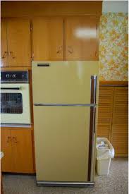 Image result for Yellow 1958 Frigidaire