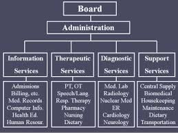 Hospital Organizational Structure