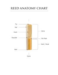 Reserve Evolution Bb Clarinet Reeds Woodwinds Daddario