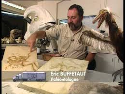Cest Pas Sorcier Sur Les Traces Des Dinosaures Dinosaure Theme Prehistoire