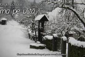 Poezii de mihai eminescu poezii de vasile alecsandri poezii de adrian păunescu poezii de george coşbuc poezii de george topârceanu poezii de emilia plugaru poezii de grigore vieru poezii de ana blandiana poezii de otilia cazimir balade populare poezii de elena farago poezii de constanţa. Poezii Iarna Pe Ulita George Cosbuc Teatru Audio