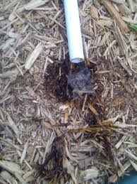Use a mixture of hot water, soap, and bleach to clean the drain pan. Air Conditioning Condensate Drain Line Clogged