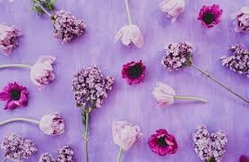 03487 yellow and purple 280 purple. Lilac Purple Flower Aesthetic Novocom Top