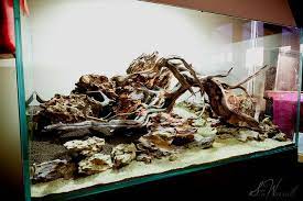 Aquascape Design Aquascape Aquascape Aquarium