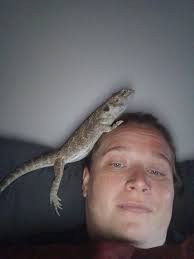 Bearded Dragon Lover