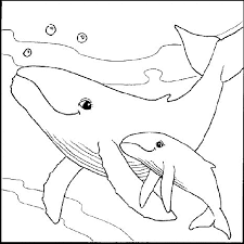 Best photos of cute sea animals coloring pages animal color baby. Free Printable Sea Animals Coloring Pages For Kids Dolphin Dolphin Coloring Pages Whale Coloring Pages Animal Coloring Pages