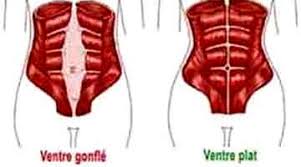 Vous pouvez faire des abdominaux pour perdre votre ventre, mais sachez bien que même si vos exercices d'abdominaux peuvent avoir un léger effet, ce. 5 Methodes Pour Perdre La Graisse Du Ventre Et Des Cuisses
