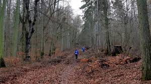 Juni 2019 7:00 am 07:00 sonntag, 9. The Cold And Winding Trail Laufberichte Trailrunning