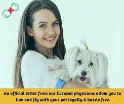 Get Your Emotional Support Animal Letter Online In 10 Minutes Emotional Support Animal Animal Letters Support Animal