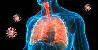 Corona Was Steckt Hinter Der Unbemerkten Luftnot Mediziner Identifizieren Potenzielle Ursachen Der Hypoxamie In Der Lunge Scinexx De