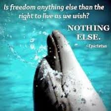Freedom Emptythetanks Animal Quotes Animals Save The Whales