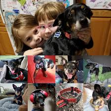 Darcy Frederick (@fredericktheok) • Instagram photos and videos