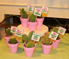 Buy cactus pots and get the best deals at the lowest prices on ebay! Invite And Delight Cactus Themed Baby Shower