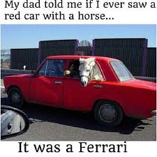 Car Meme Car Red Car Ferrari