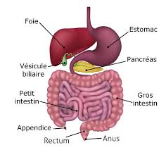 Check spelling or type a new query. Cancer Du Colon Symptomes Causes Stades C Est Quoi