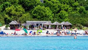 Apartmaji, zasebne nastanitve in druge vrste počitniških nastanitev v okolici mesta peščena plaža sakarun dugi otok najdite idealno namestitev v bližini mesta peščena plaža sakarun dugi otok. Hotel Agava Und Mirta Bozava Dugi Otok Kroatien