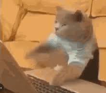 Search, discover and share your favorite cat typing gifs. Typing Cat Gifs Tenor