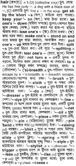 যখন মানুষের খুব প্রিয় কেউ তাকে অপছন্দ, অবহেলা কিংবা ঘৃণা করে তখন প্রথম প্রথম মানুষ খুব কষ্ট পায় এবং চায় যে সব. Hair Bengali Meaning Hair Meaning In Bengali At English Bangla Com Hair à¦¶à¦¬ à¦¦ à¦° à¦¬ à¦² à¦…à¦° à¦¥