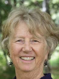 Guest commentary: Presentation