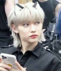 lee felix as a cat agenda: a thread