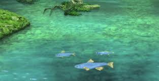 Image Result For Anime River Gif Anime Fish Pet River