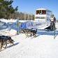 Northern Pines Sled Dog Race 2027